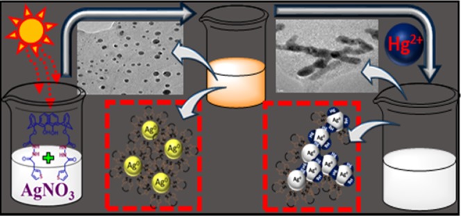 graphic file with name ao-2018-03299x_0015.jpg