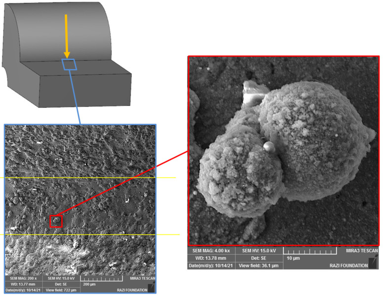 Figure 26