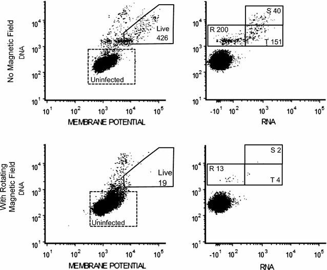 Fig. 2