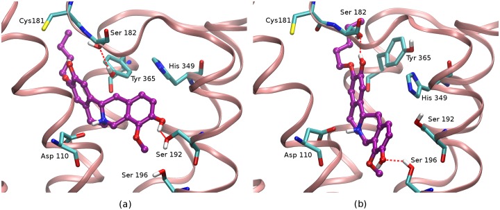 Fig 5