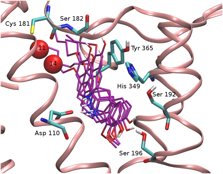 Fig 6