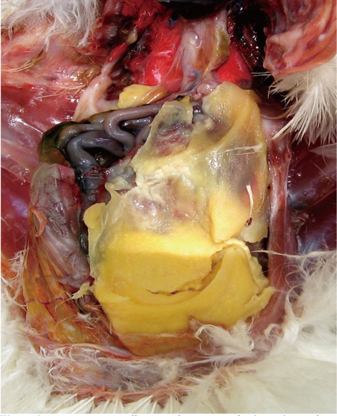 Figure 2.