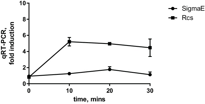 Figure 1—figure supplement 1.