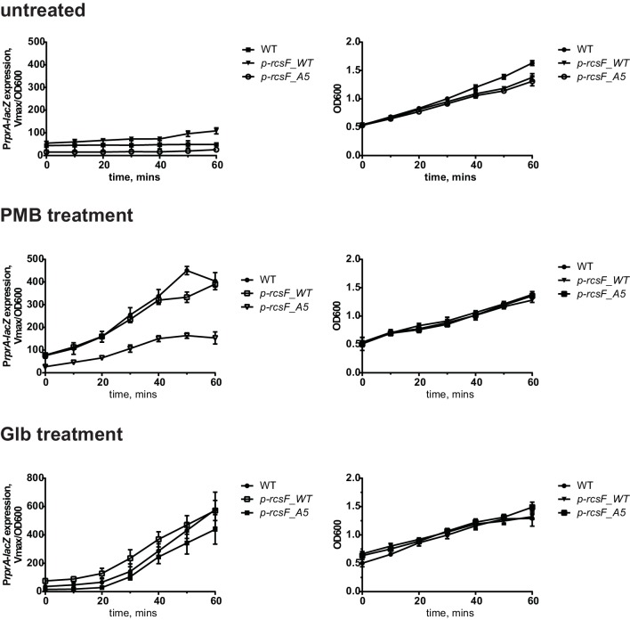 Figure 5—figure supplement 1.