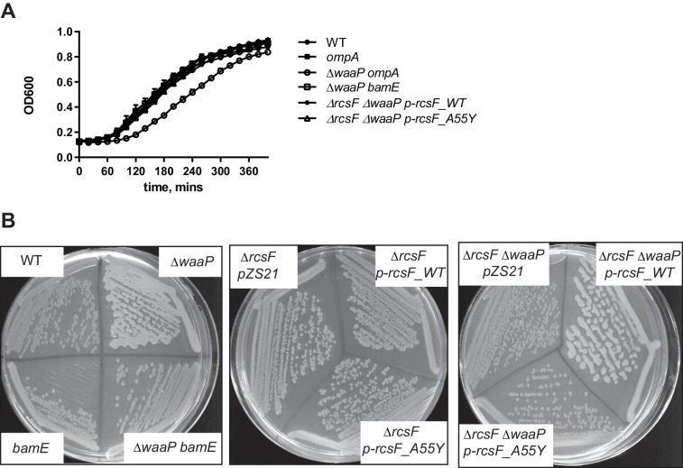 Figure 3—figure supplement 2.