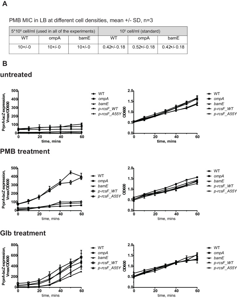 Figure 3—figure supplement 1.