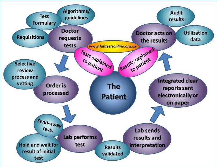 The ‘test cycle’ above shows the points at which laboratory clinicians can become engaged in managing appropriate test utilization. The patient must always be the focus of all processes and outcomes.