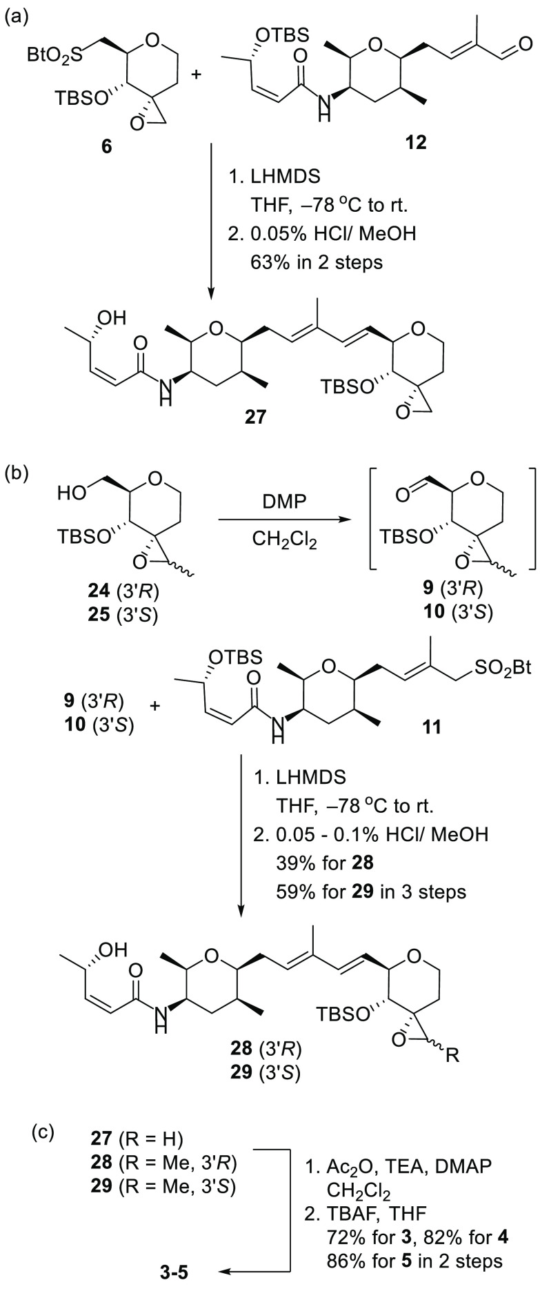 Scheme 4