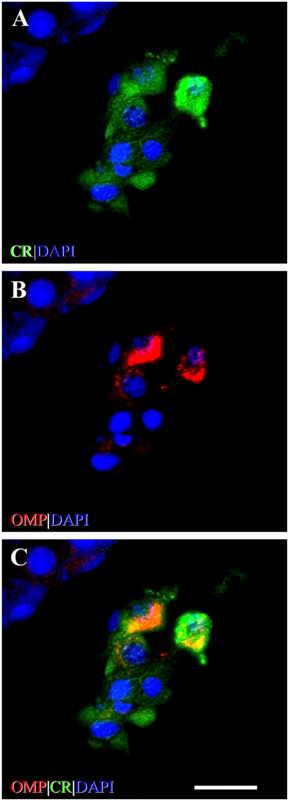 Figure 3.