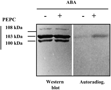 Figure 10.