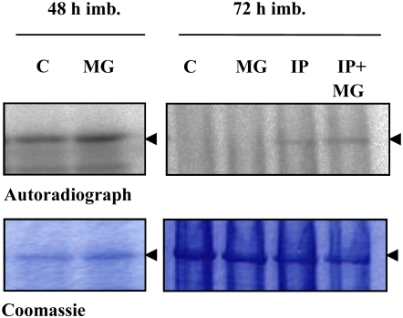 Figure 9.