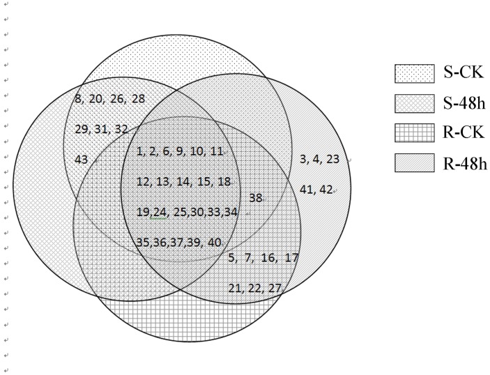 Fig 4