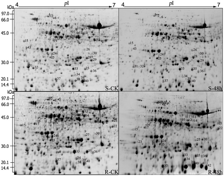 Fig 2