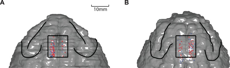 Figure 2—figure supplement 1.