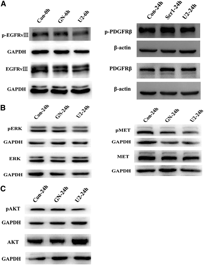 Figure 5