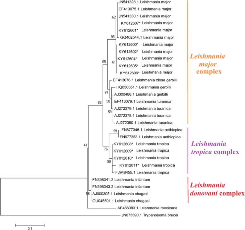 Fig. 5: