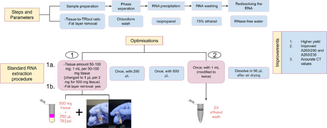 Image, graphical abstract