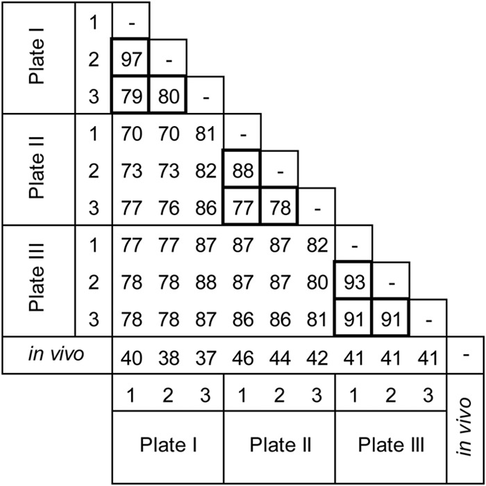 FIG 1