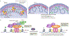 Fig. 4 |