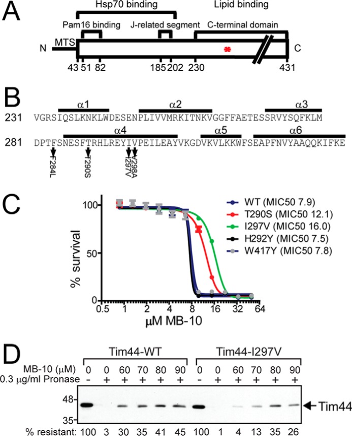 FIGURE 5.