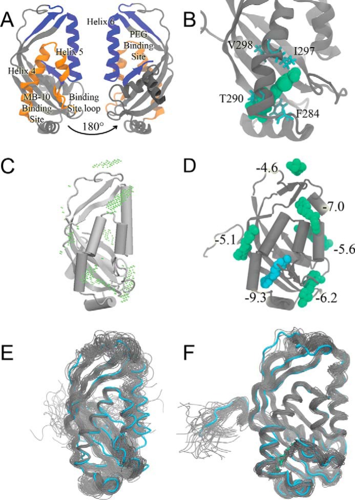 FIGURE 6.