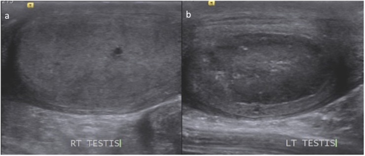 Figure 16.