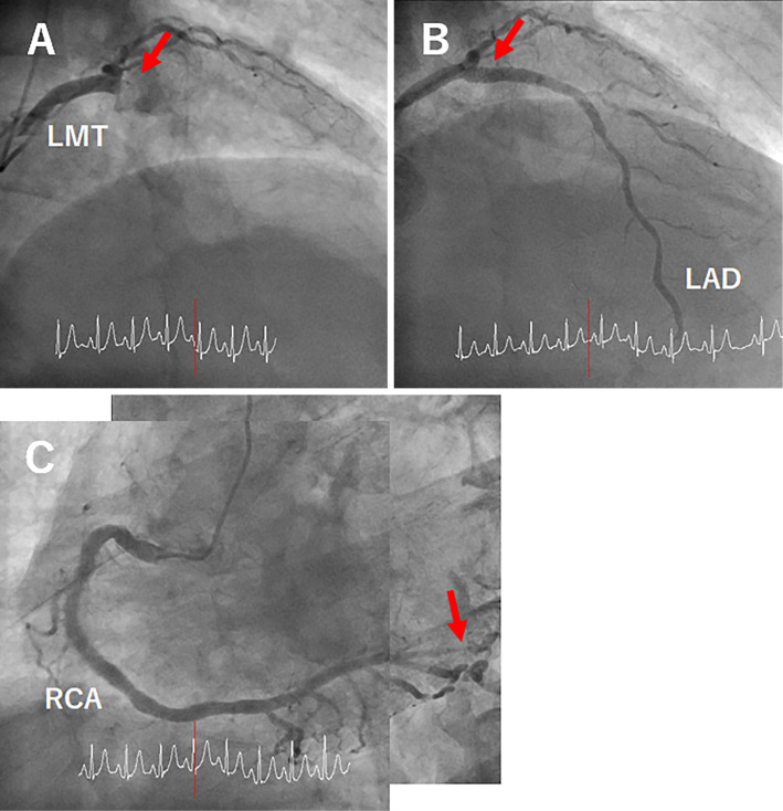 Figure 1.