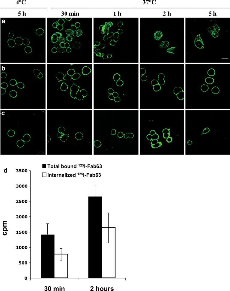 Fig. 4