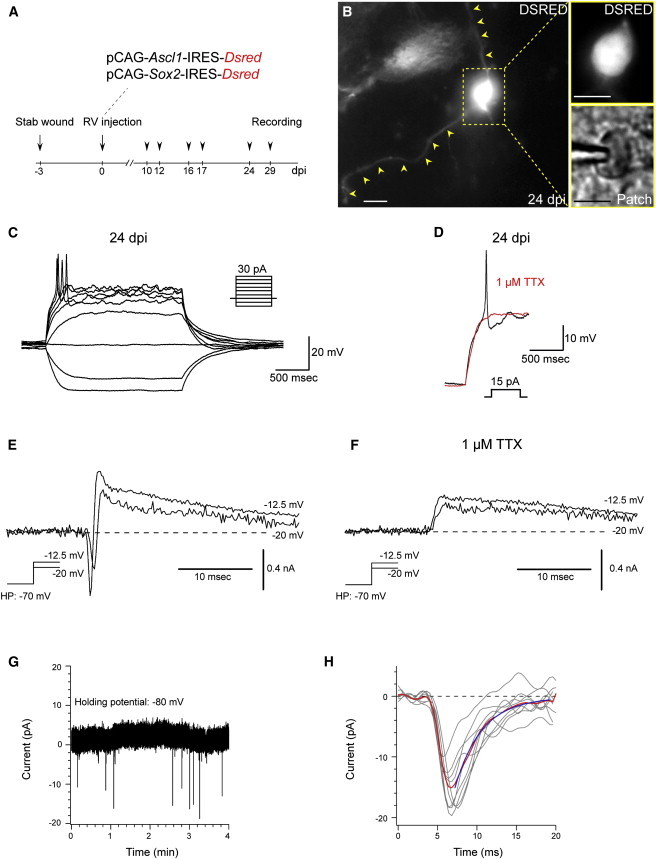 Figure 4