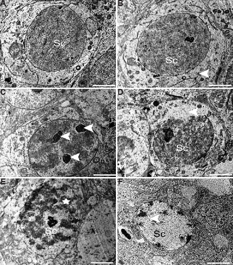 Fig. 10