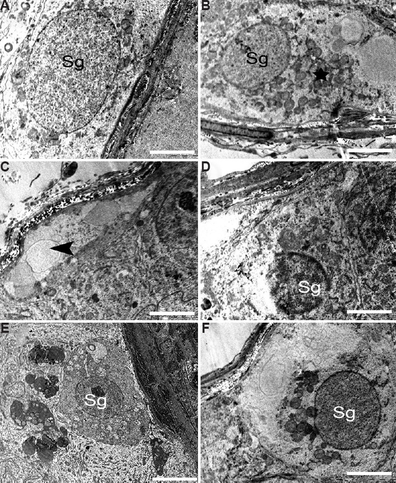 Fig. 9