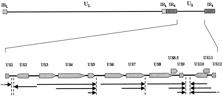 FIG. 1.