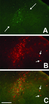 Fig 6.