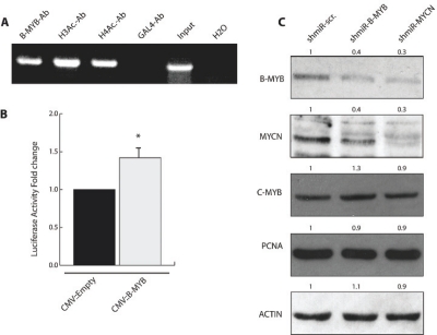 Figure 5: