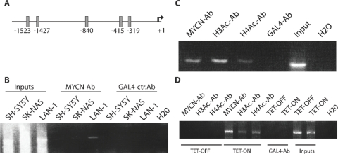 Figure 2: