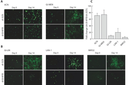 Figure 4: