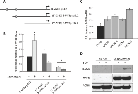 Figure 3: