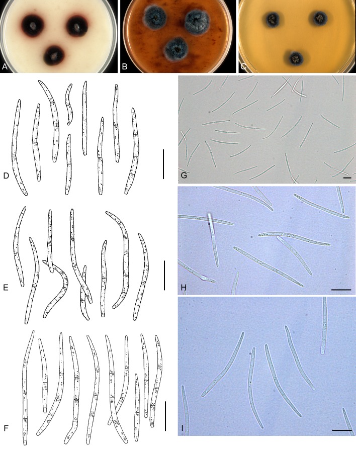 Fig. 39.