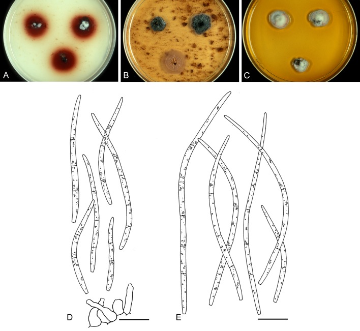 Fig. 26.