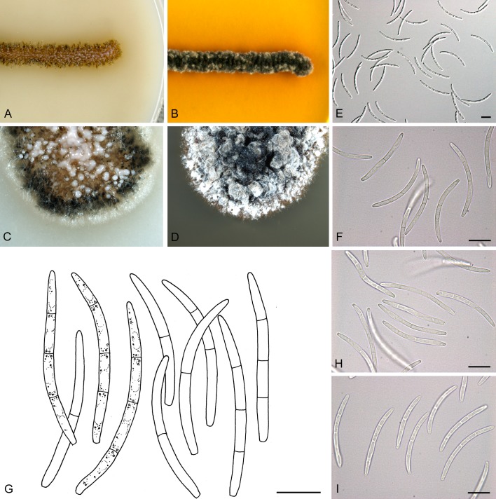 Fig. 23.