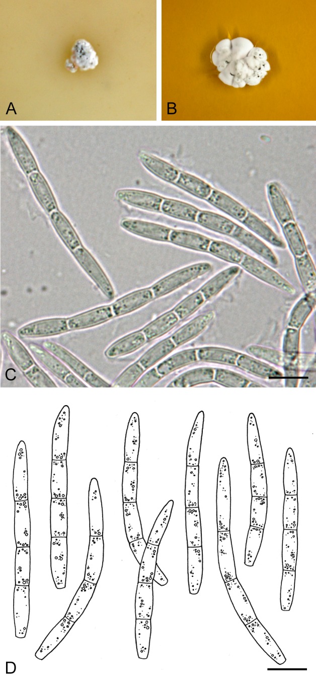 Fig. 43.