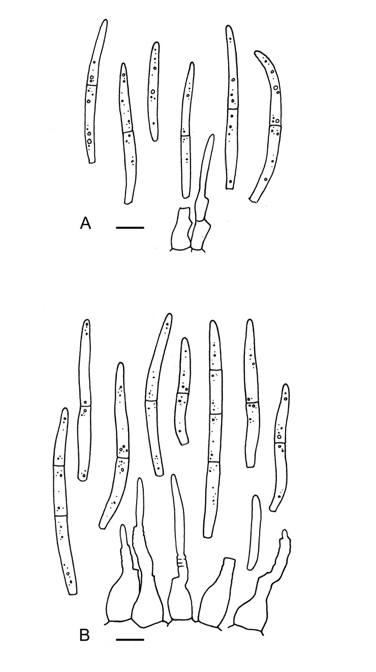 Fig. 11.