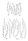 Fig. 42.
