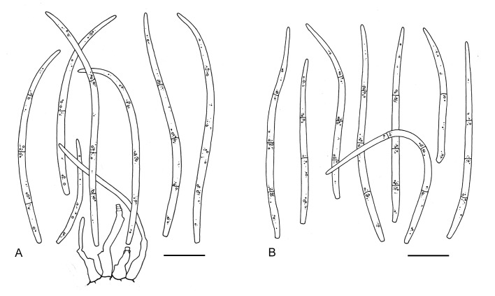 Fig. 8.