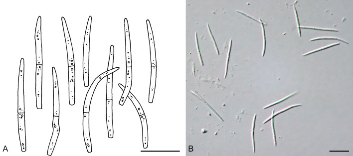 Fig. 22.