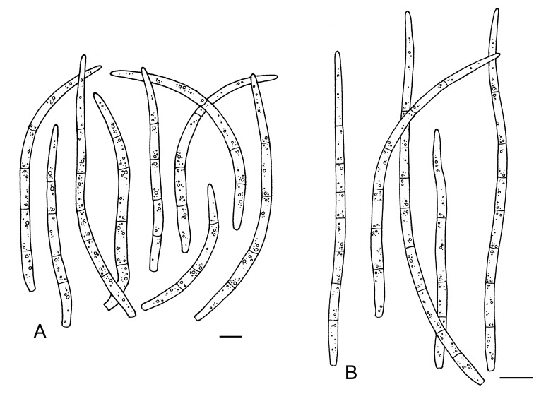 Fig. 46.