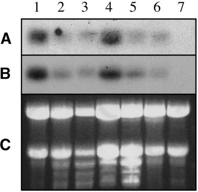 Figure 10.