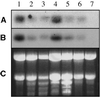 Figure 10.