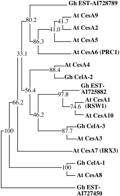 Figure 9.