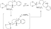 Scheme 3